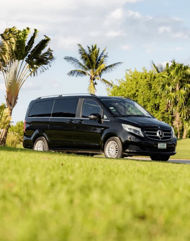 Mercedes V250 People Mover